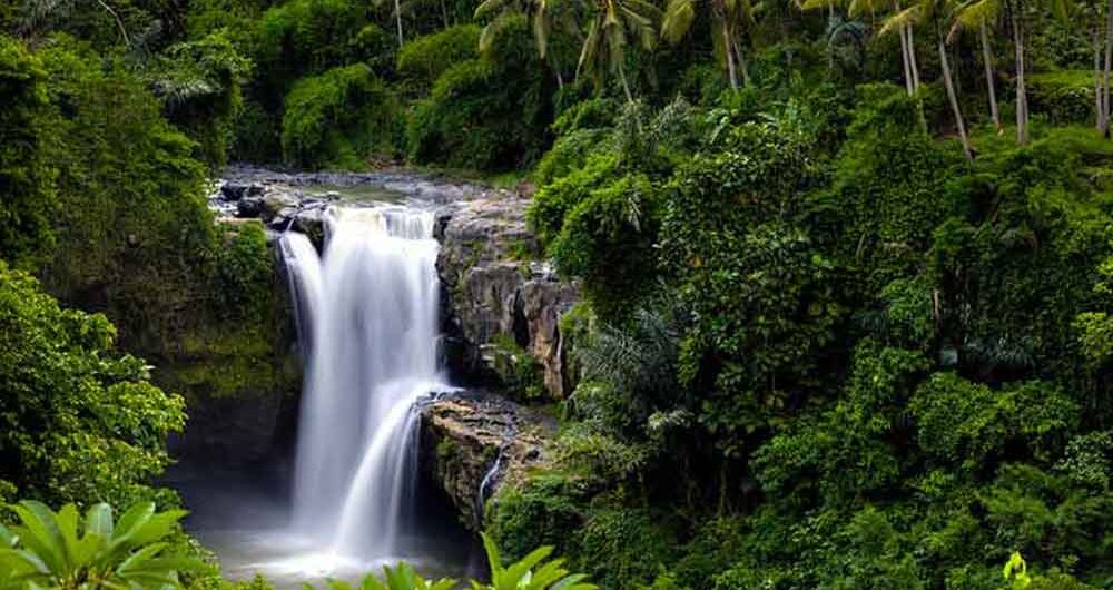 Tegenungan Waterfall Review