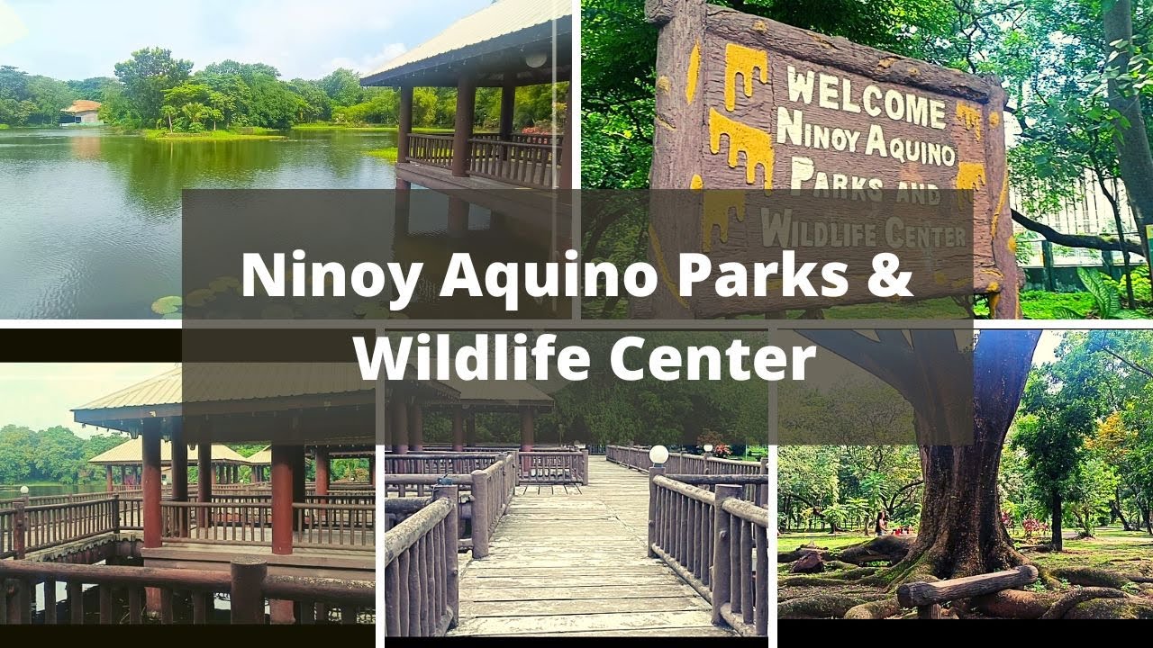 Ninoy Aquino Parks & Wildlife