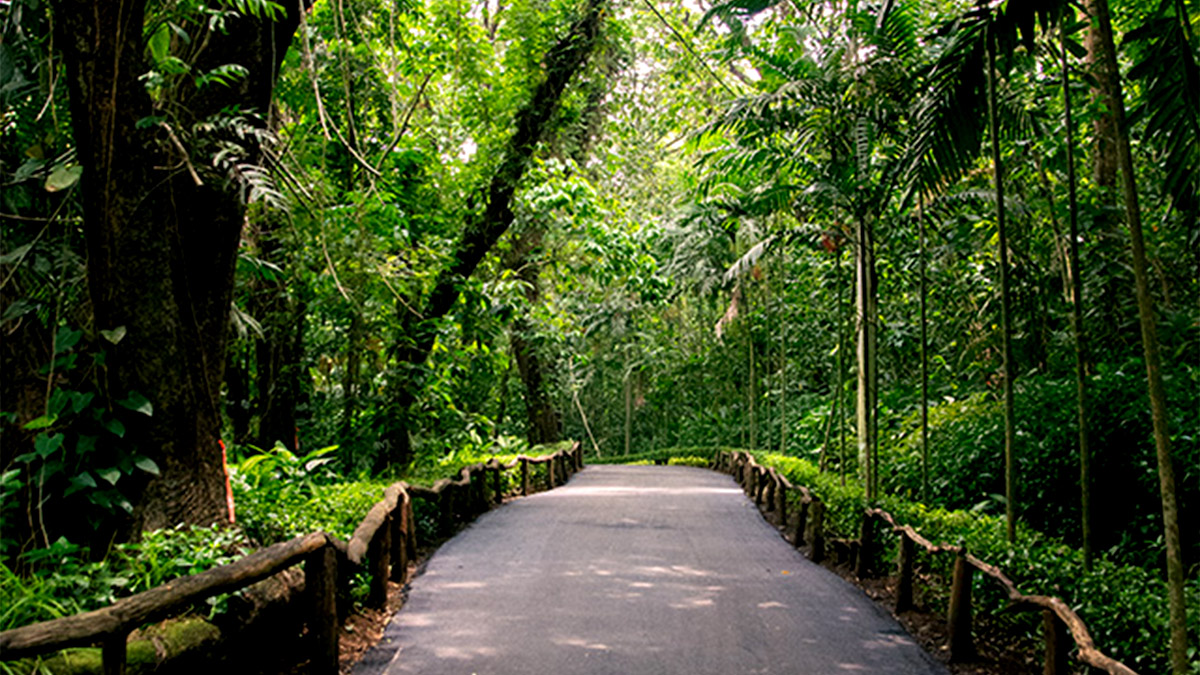 la-mesa-ecopark-trails