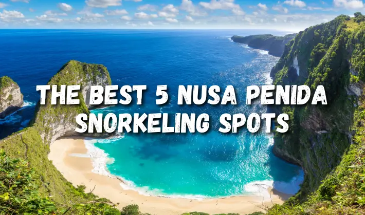 Snorkeling Nusa Penida Spots