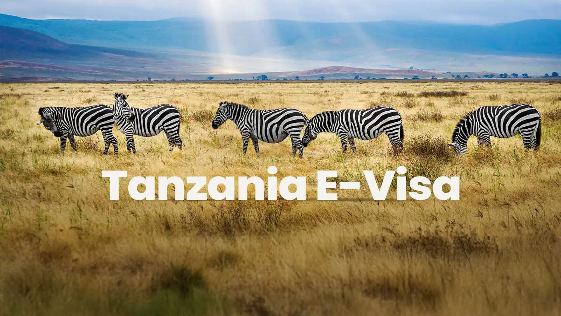 Zanzibar Visa for UAE Residents