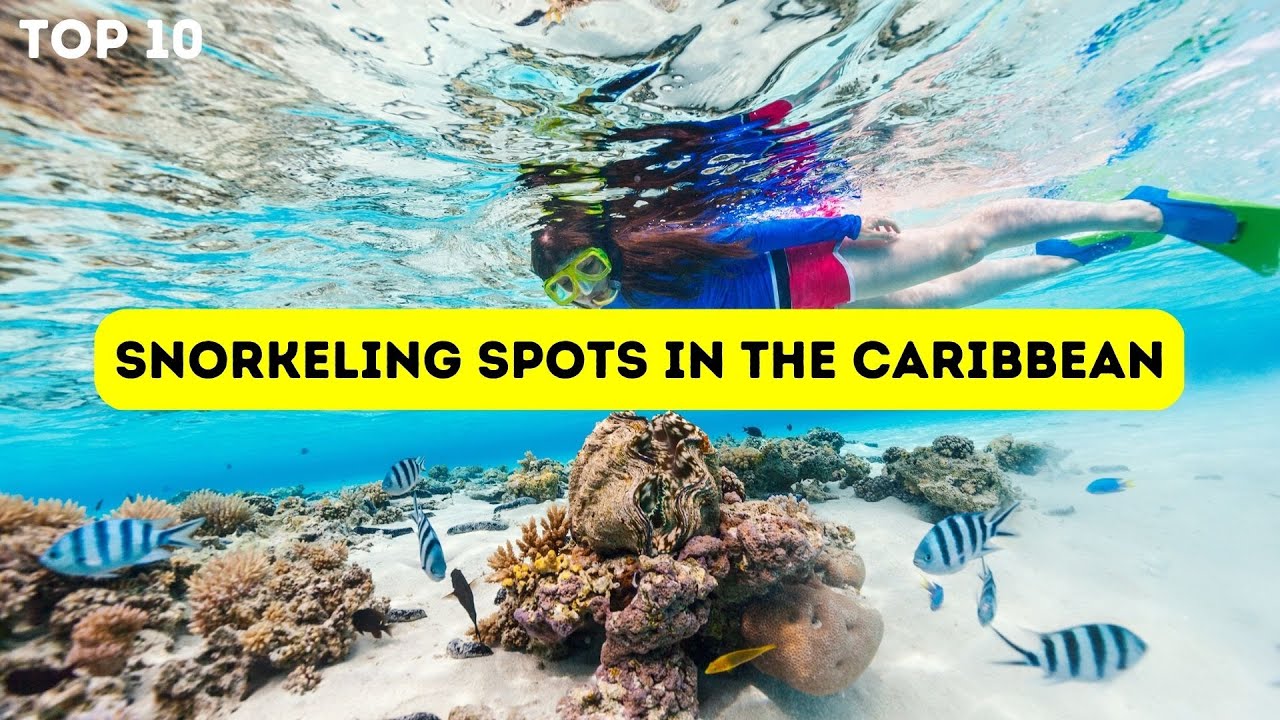 Best Snorkeling Spots In The Caribbean